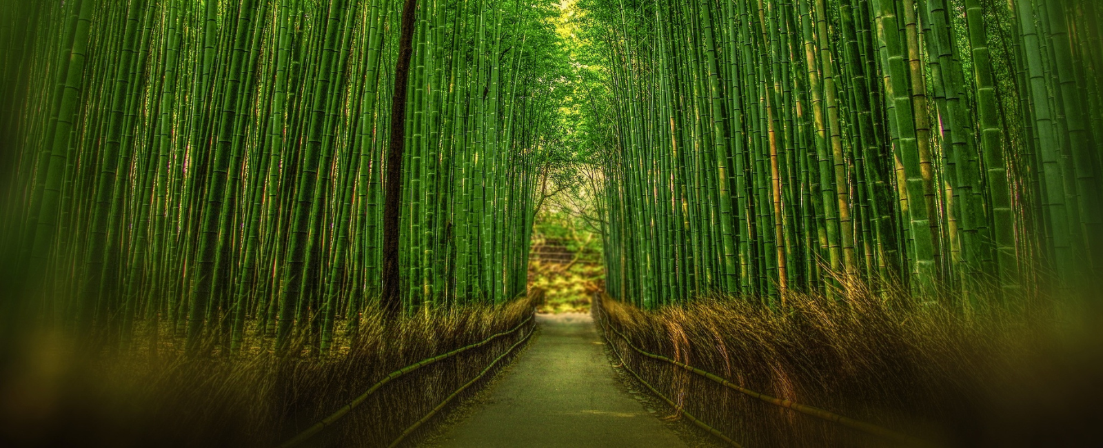 Untitled_design_b7805590-8a8e-43fd-b081-1b249021c60f.png