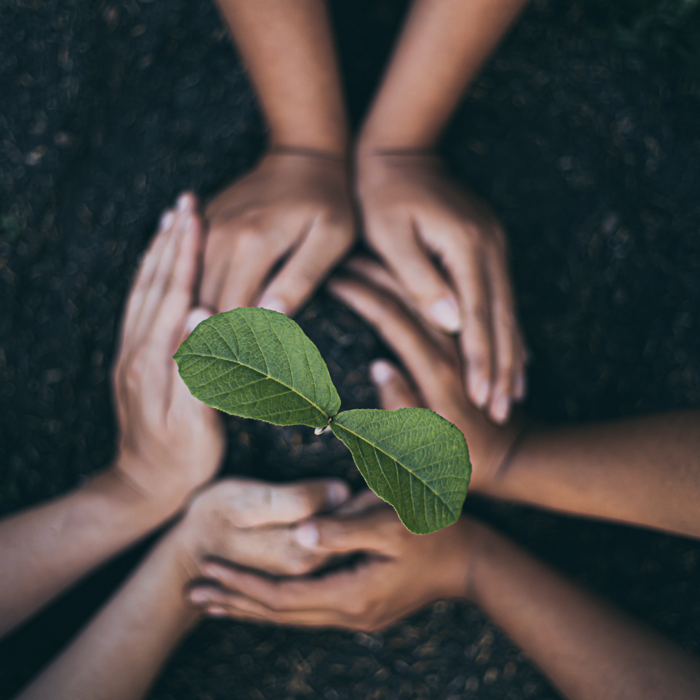 Committed to a Greener Tomorrow