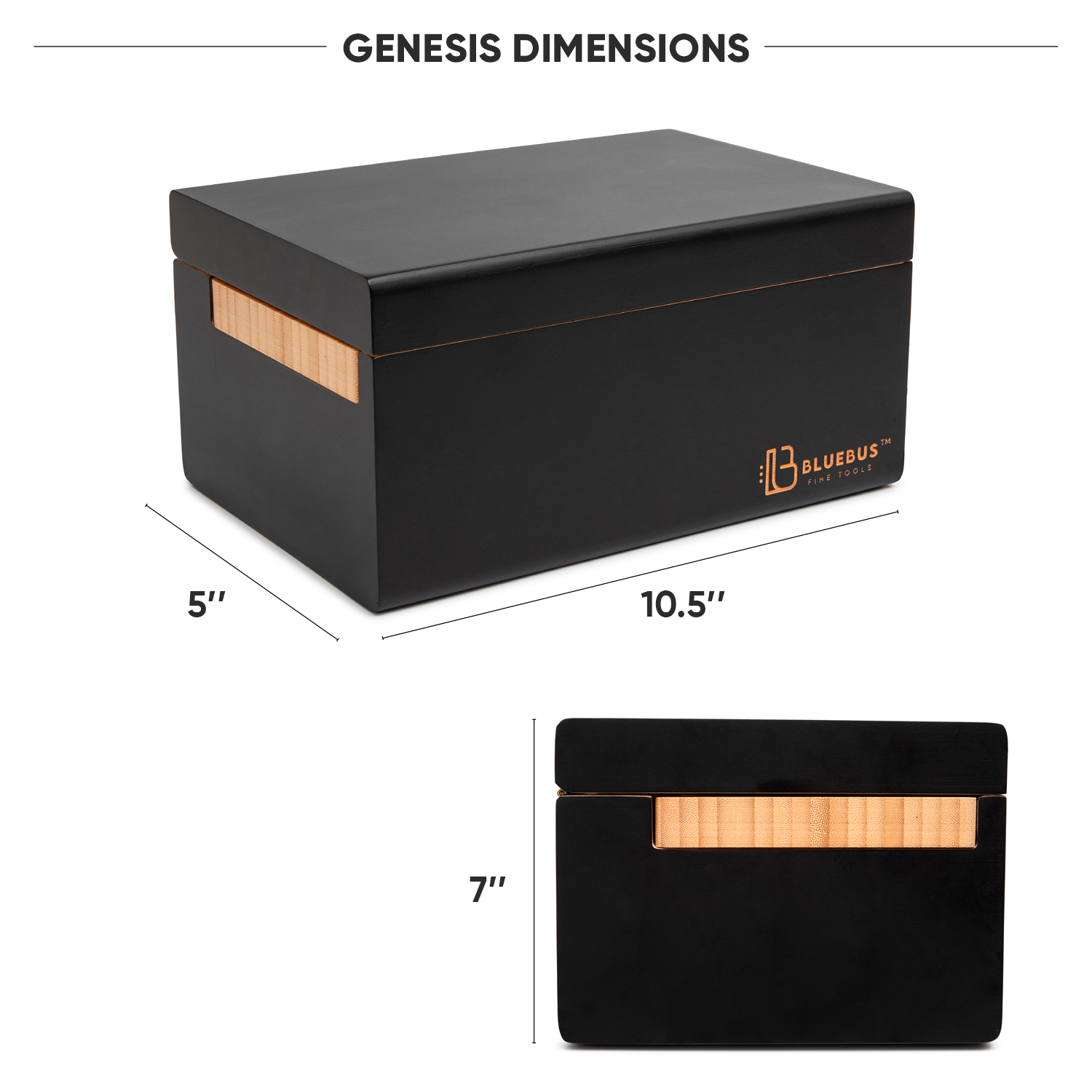 Genesis 2.0 Storage Stash Box with Fingerprint Lock (Black)